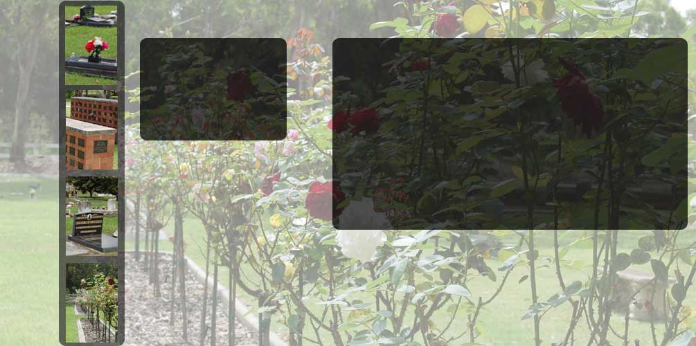 Contact Us Page image